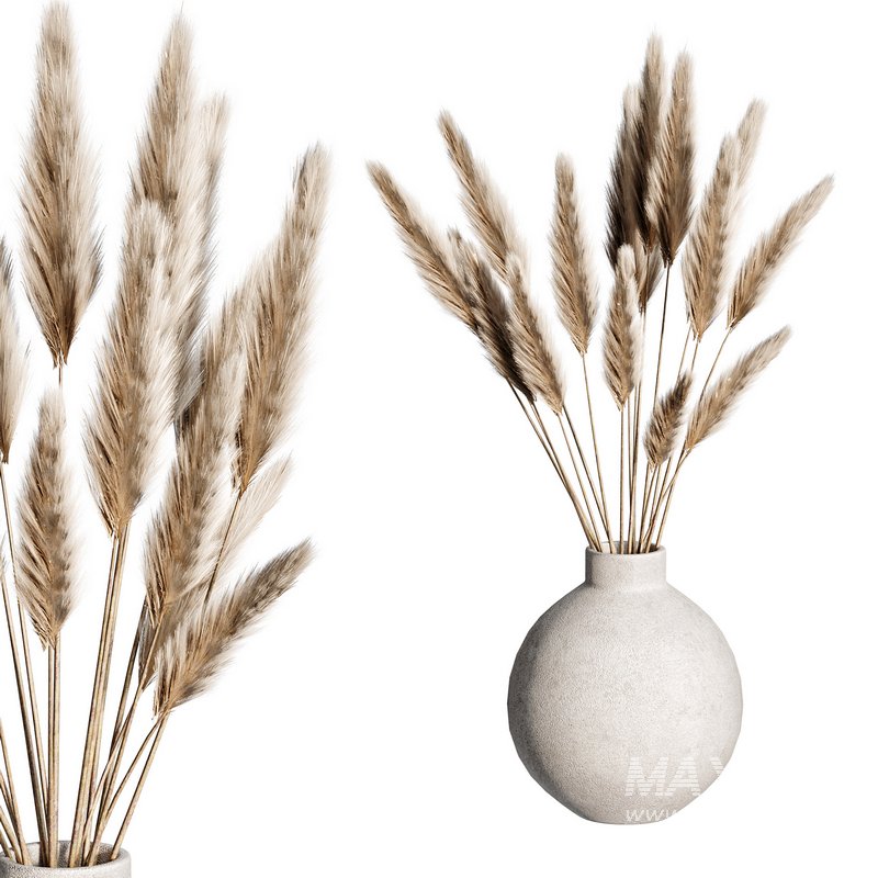 Bouquet Indoor Plant 09 - Image 2