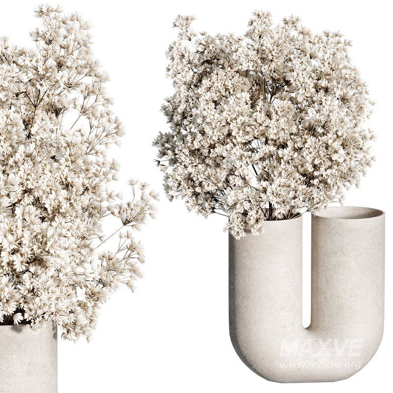 Bouquet Indoor Plant 09 - Image 5