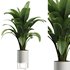Indoor Plant Set V39 - Thumbnail 1
