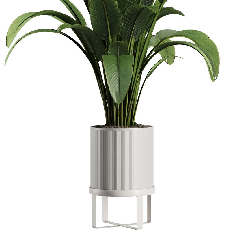 Indoor Plant Set V39 - Image 2