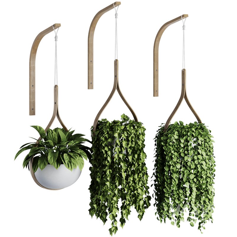 Hanging Indoor Plant – SetV6 - Image 1