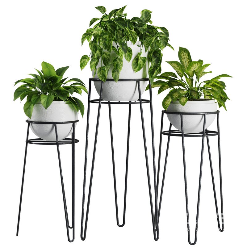 Indoor Plant Set V38 - Image 1