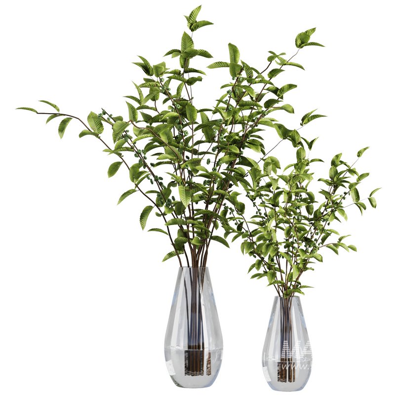 Bouquet Vase Set5 - Image 1