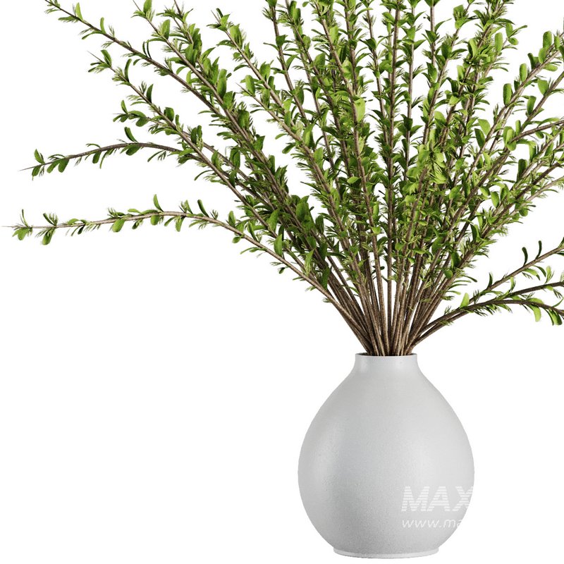 Dry Flower Branche Bouquet12 - Image 2