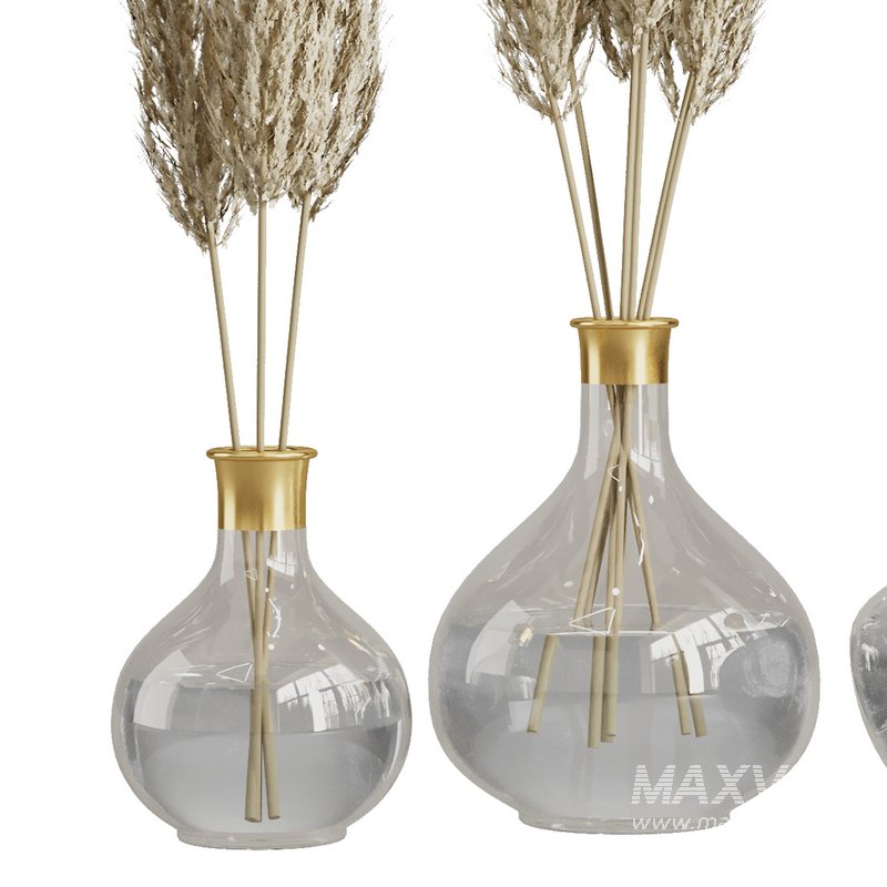 Pampas in glass vase - Image 2