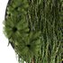 Circle Green Wall Plants - Thumbnail 2