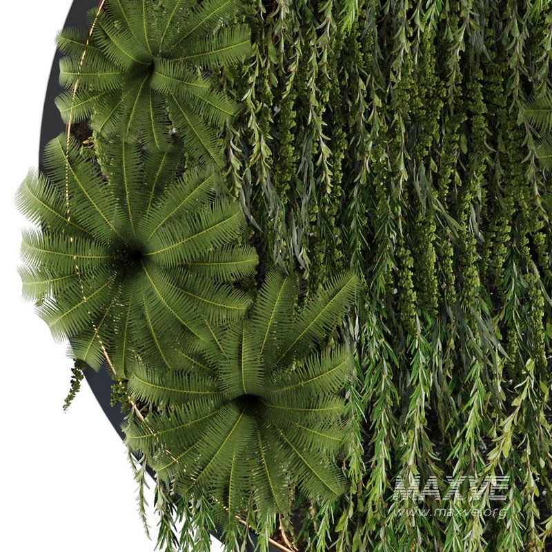 Circle Green Wall Plants - Image 2