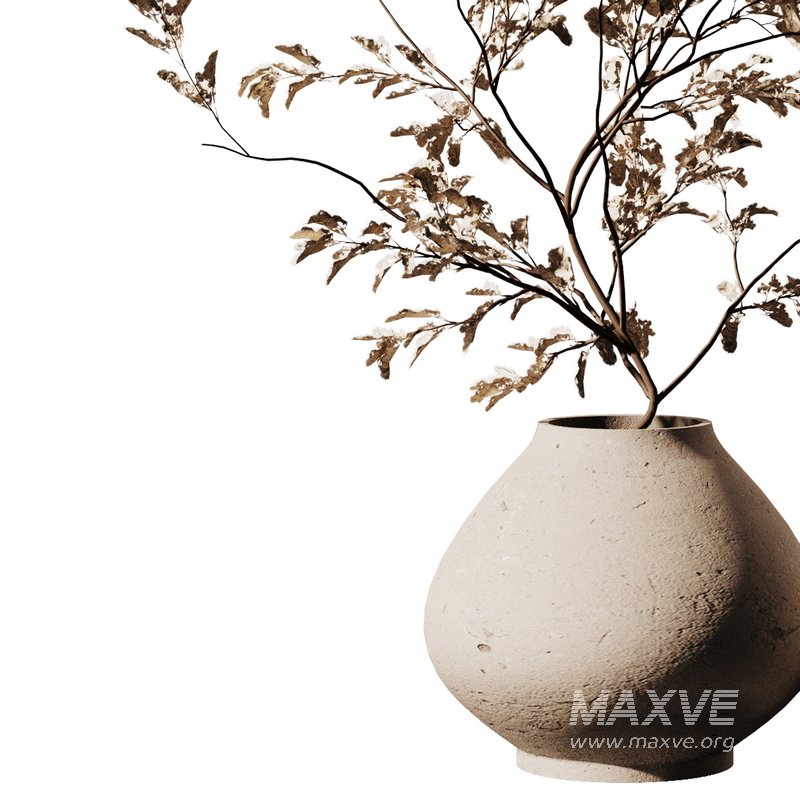 Dry Flower Bouquet8 - Image 2