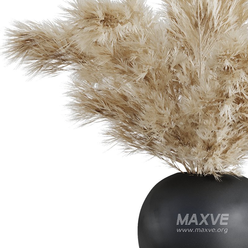 Dry Flower Branche Bouquet13 - Image 2