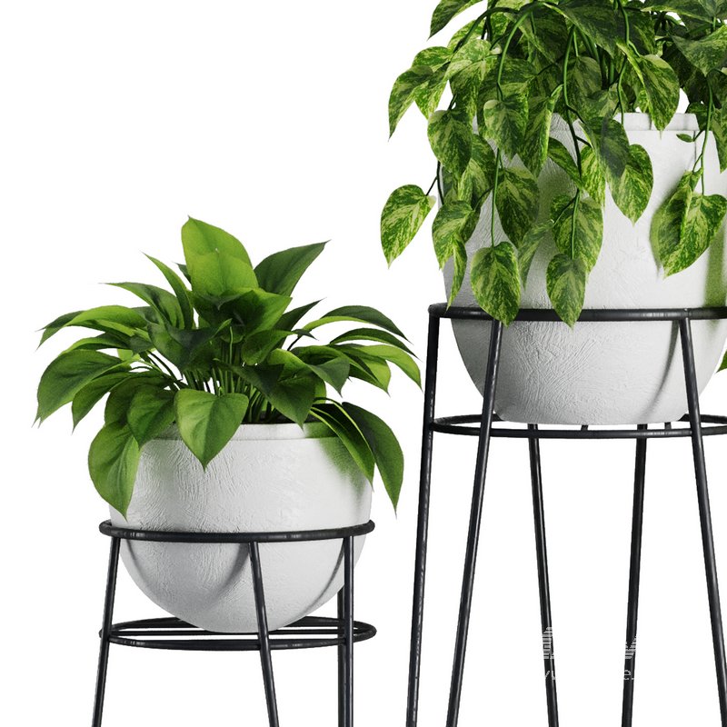 Indoor Plant Set V38 - Image 2