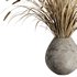 Dry grass pampas Bouquet4 - Thumbnail 2
