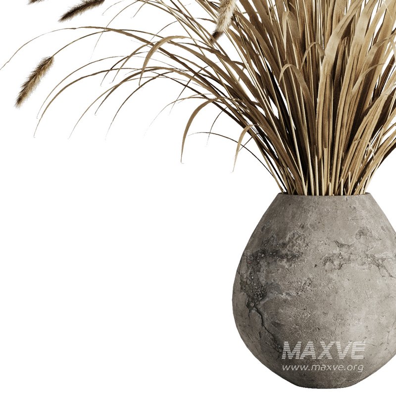 Dry grass pampas Bouquet4 - Image 2