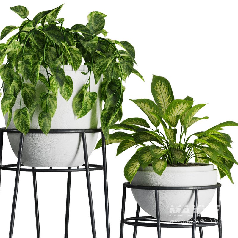 Indoor Plant Set V38 - Image 3