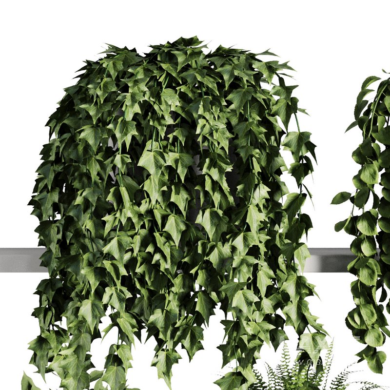 Plants on Shelf SetV7 - Image 3