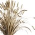 Dry grass pampas Bouquet4 - Thumbnail 3