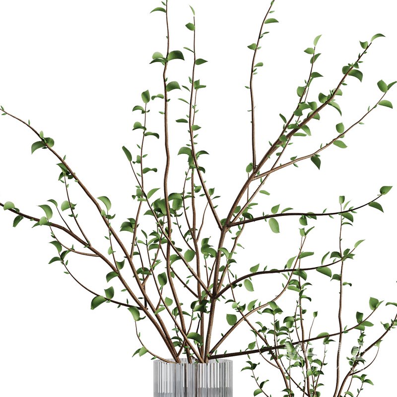 Dry Flower Branche Bouquet14 - Image 3