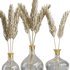 Pampas in glass vase - Thumbnail 3