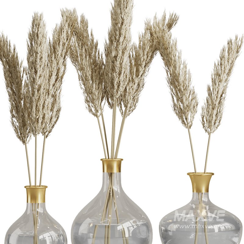 Pampas in glass vase - Image 3