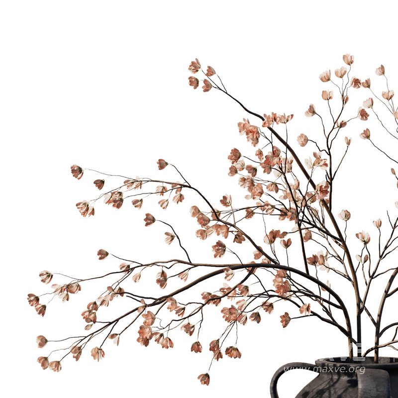 Dry Flower Branche Bouquet7 - Image 3