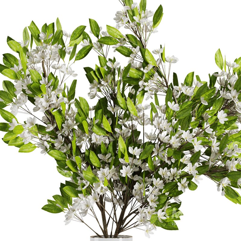 Flower Bouquet15 - Image 4