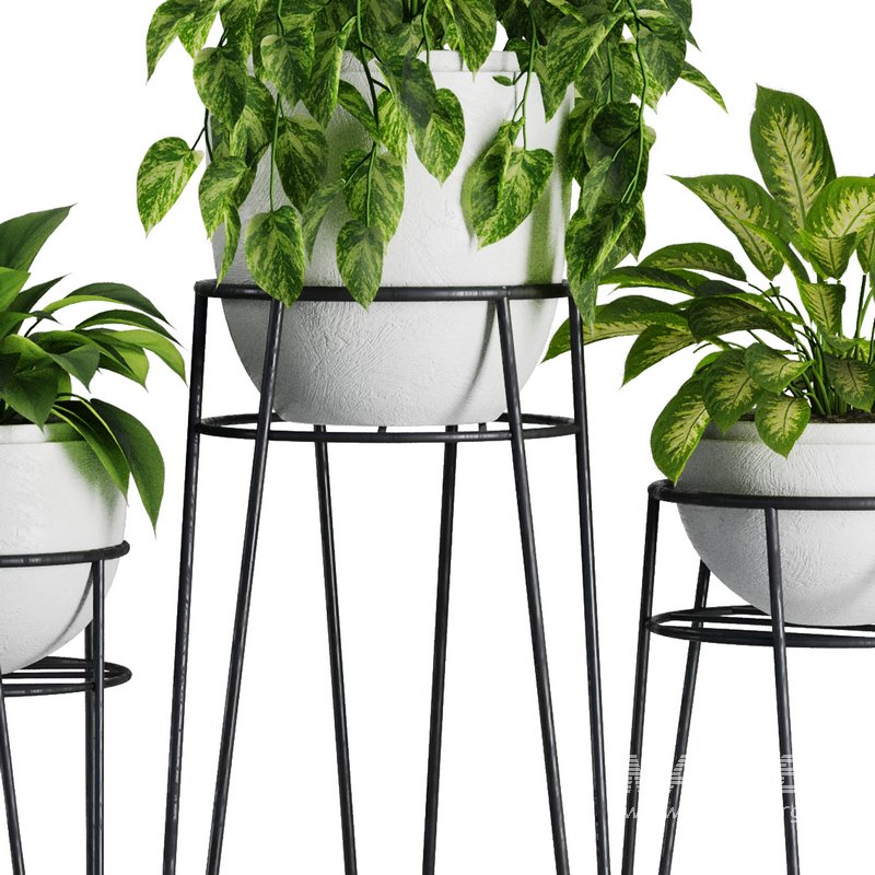 Indoor Plant Set V38 - Image 4