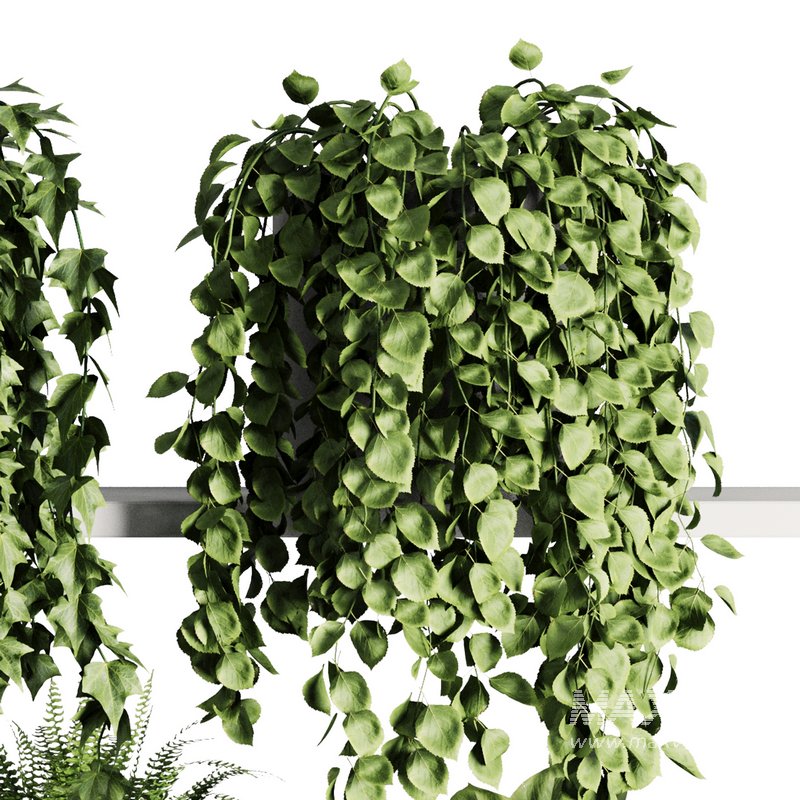 Plants on Shelf SetV7 - Image 4