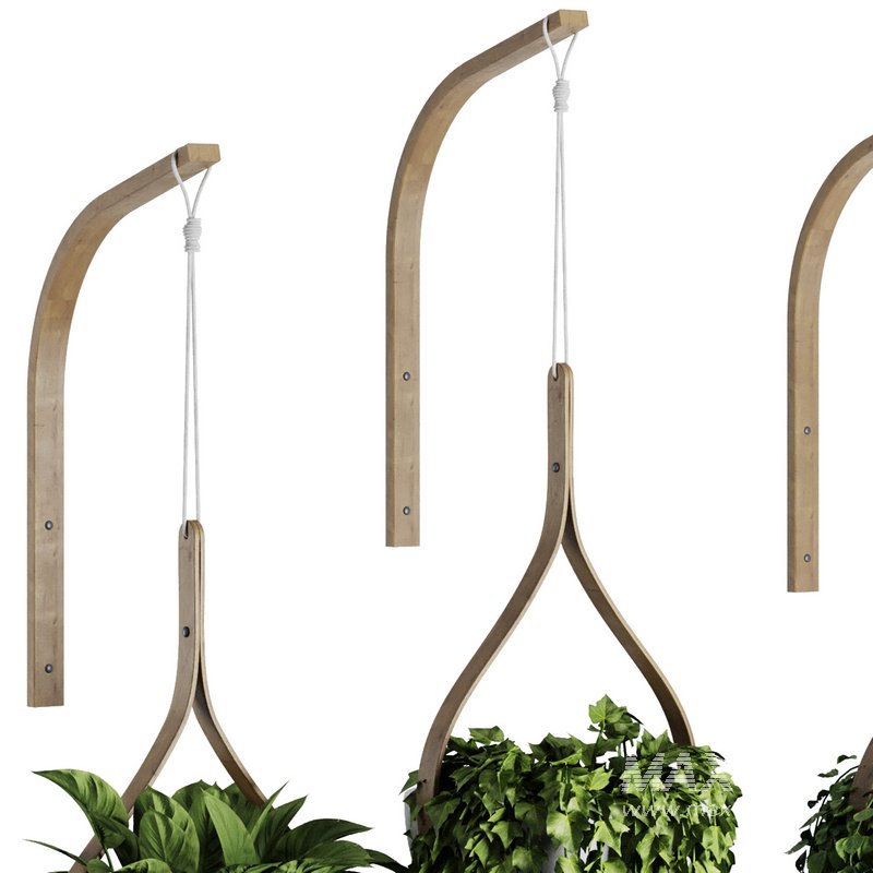 Hanging Indoor Plant – SetV6 - Image 4