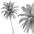 Hawaii Palm Tree - Thumbnail 4