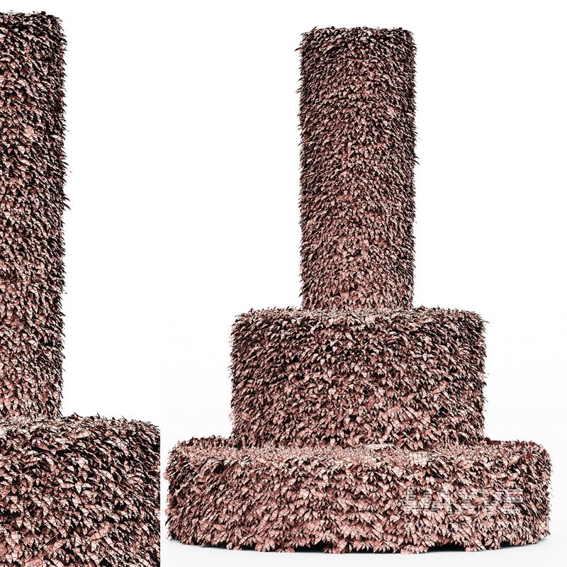 Dwarf Yaupon Holly – Cylinder Plant - Image 3