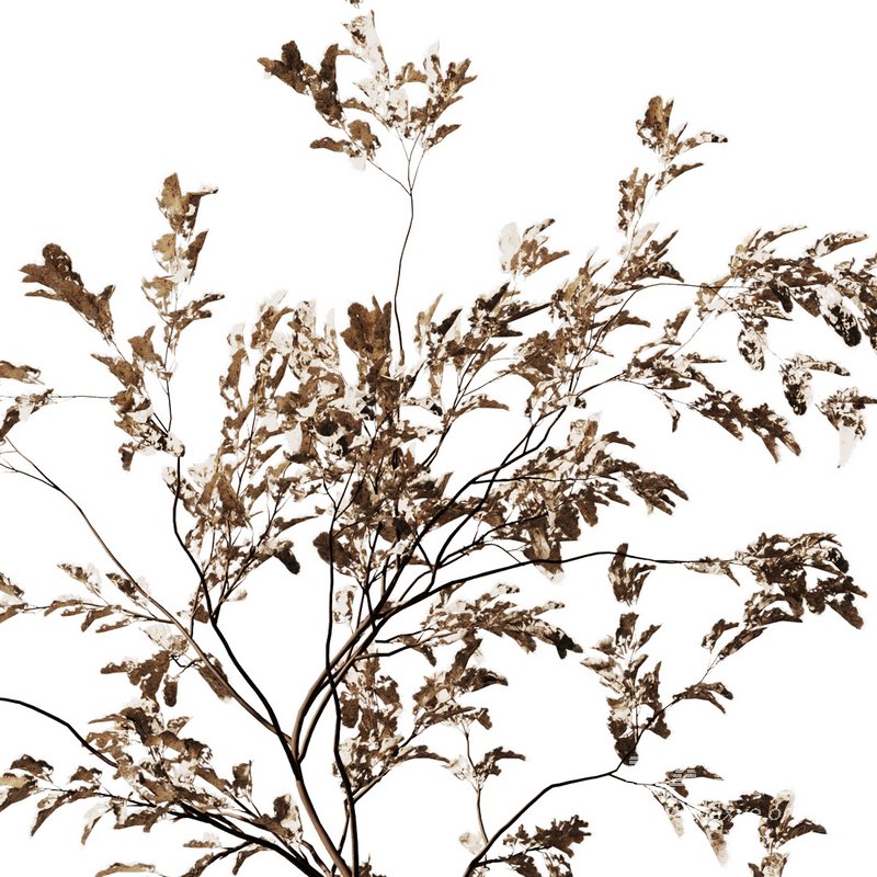 Dry Flower Bouquet8 - Image 4