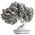 Bonsai Tree set4 - Thumbnail 3