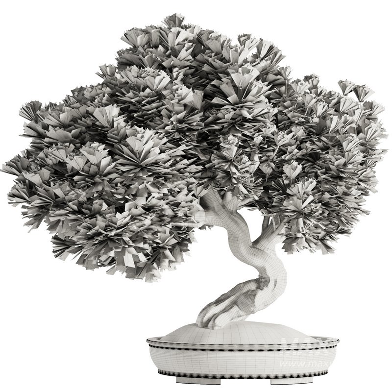 Bonsai Tree set4 - Image 3