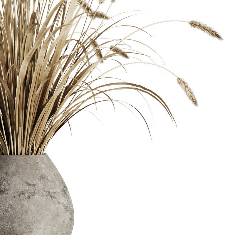 Dry grass pampas Bouquet4 - Image 4