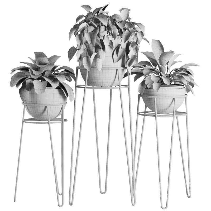 Indoor Plant Set V38 - Image 5