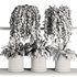 Plants on Shelf SetV7 - Thumbnail 6