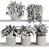 Plants on Shelf SetV6 - Thumbnail 6