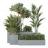 HQ Tree and bush garden box outdoor VOL 28 - Thumbnail 1