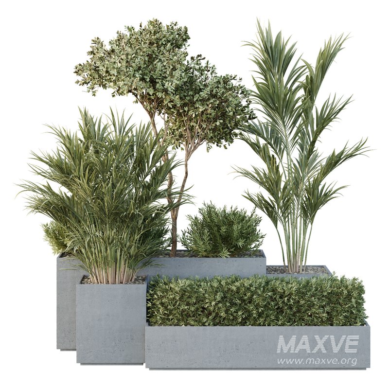 HQ Tree and bush garden box outdoor VOL 28 - Image 1