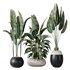 HQ Plants Bird Of ParadiseBird Vase Set06 - Thumbnail 1