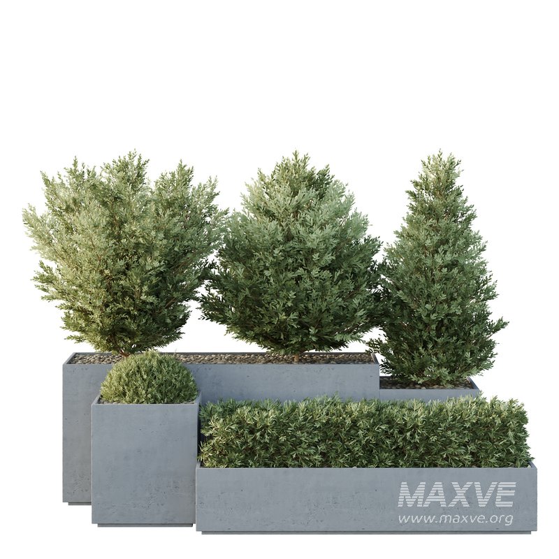 HQ Tree and bush garden box outdoor VOL 27 - Image 1