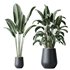 HQ Plants Bird Of ParadiseBird Vase Set04 - Thumbnail 1