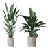 HQ Plants Bird Of ParadiseBird Vase Set01 - Thumbnail 1