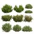 10 different bush - Thumbnail 1