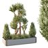 HQ Tree and bush garden box outdoor VOL 25 - Thumbnail 3