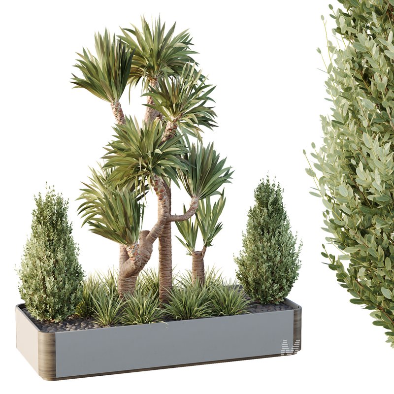 HQ Tree and bush garden box outdoor VOL 25 - Image 3