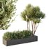 HQ Tree and bush garden box outdoor VOL 22 - Thumbnail 1