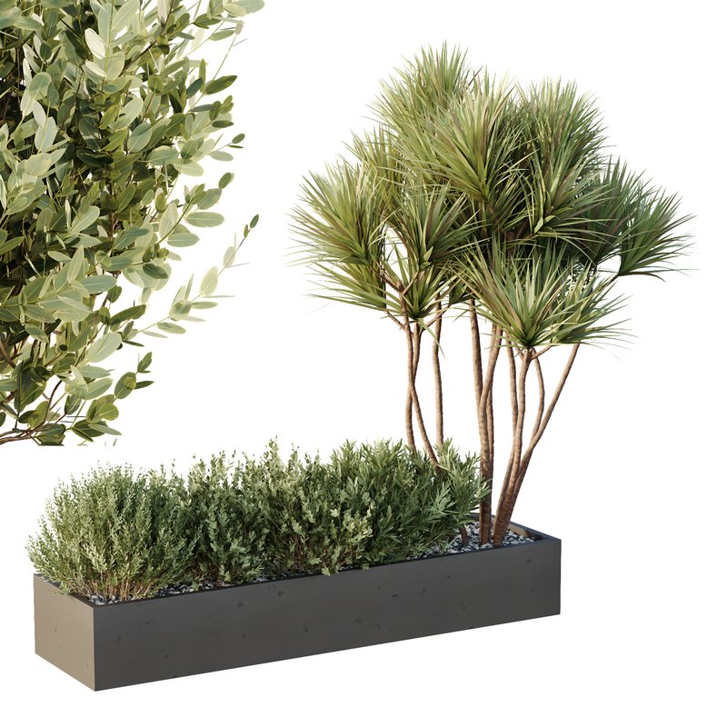HQ Tree and bush garden box outdoor VOL 22 - Image 1