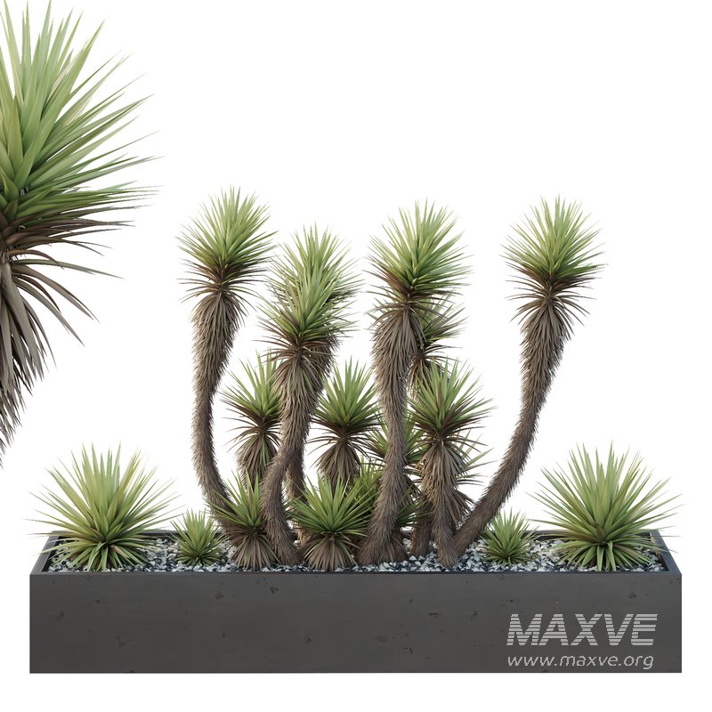 HQ Tree and bush garden box outdoor VOL 23 - Image 1