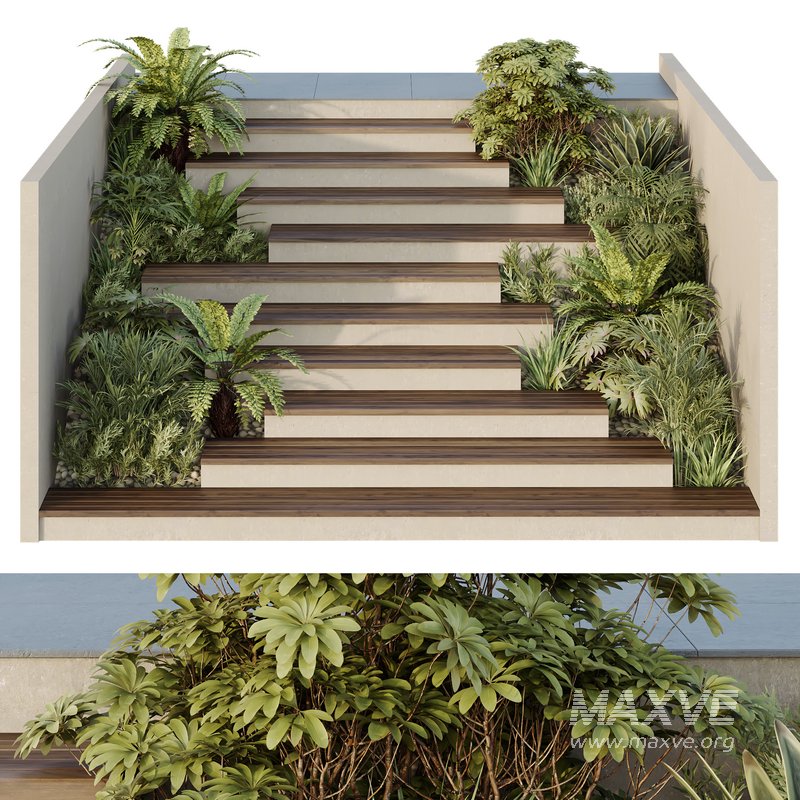 HQ Tree and bush garden box outdoor VOL 30 - Image 1