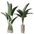 HQ Plants Bird Of ParadiseBird Vase Set02 - Thumbnail 2